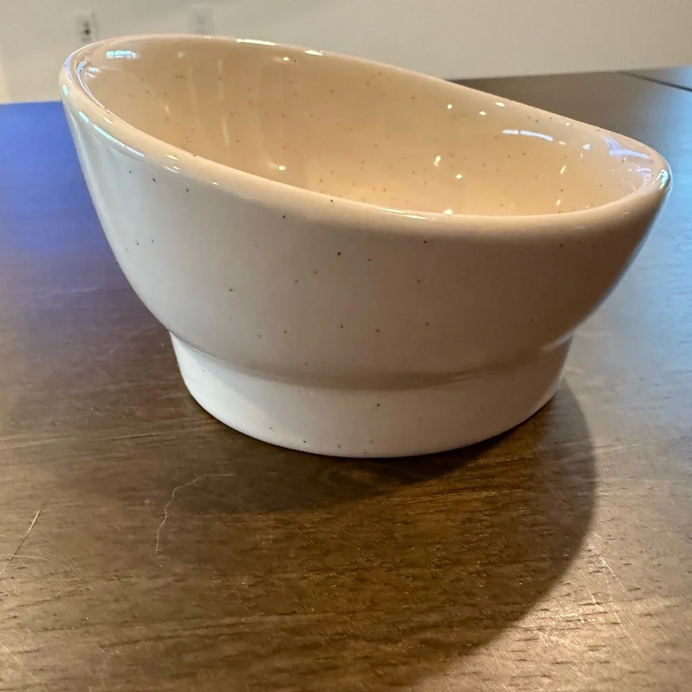Ceramic dog bowl